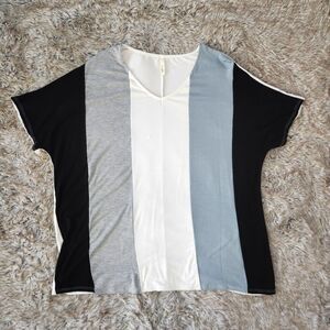 Celeste‎ Vertical Colorblocked V-Neck Short Sleeve T-shirt Blue and Gray Medium
